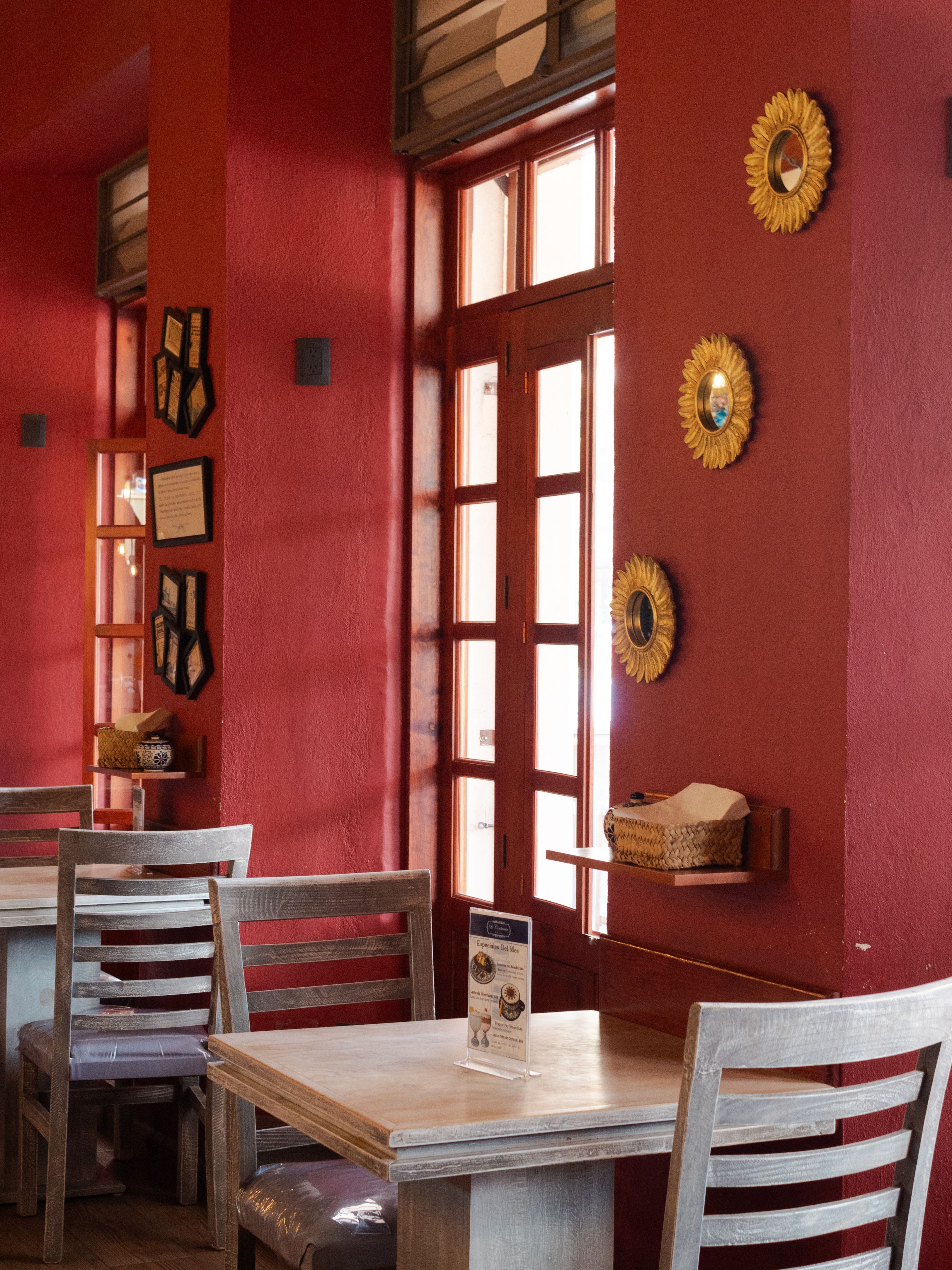 Café interior with books and plants